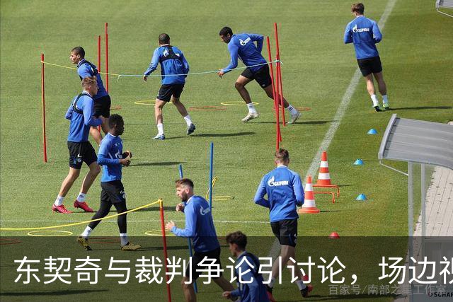 东契奇与裁判争论引讨论，场边视频提供另一角度