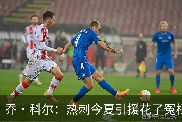乔·科尔：热刺今夏引援花了冤枉钱，范赫克进了球但防守不合格