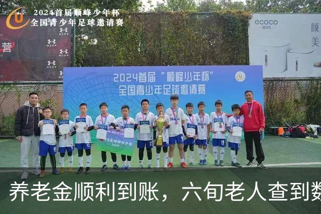养老金顺利到账，六旬老人查到数额，心里又惊喜又意外
