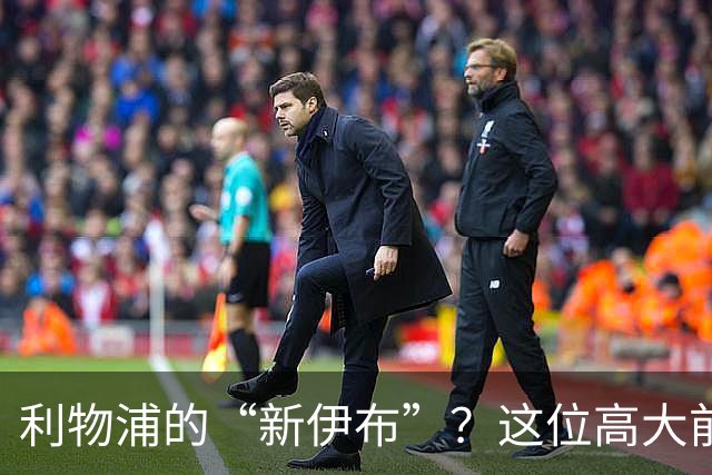 利物浦的“新伊布”？这位高大前锋被拿来和伊布比较