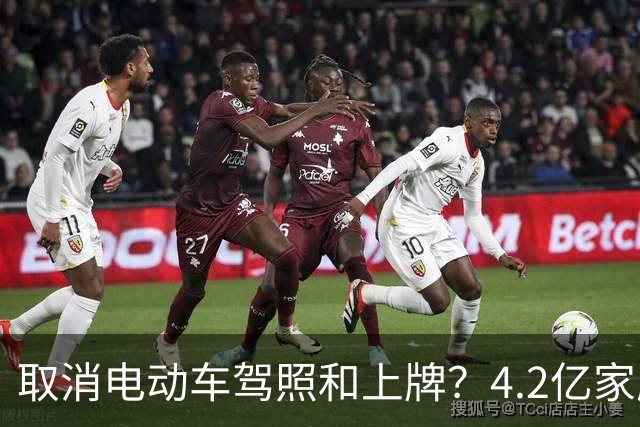 取消电动车驾照和上牌？4.2亿家庭的真实需求，不能再被忽视