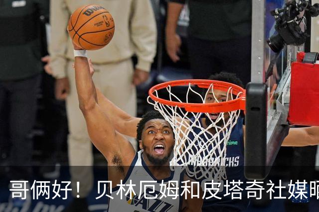 哥俩好！贝林厄姆和皮塔奇社媒晒合照：我的好伙计