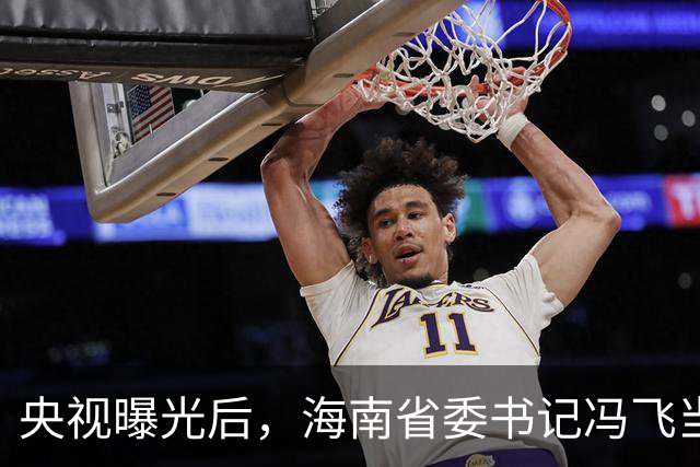 央视曝光后，海南省委书记冯飞当晚主持召开省委常委会