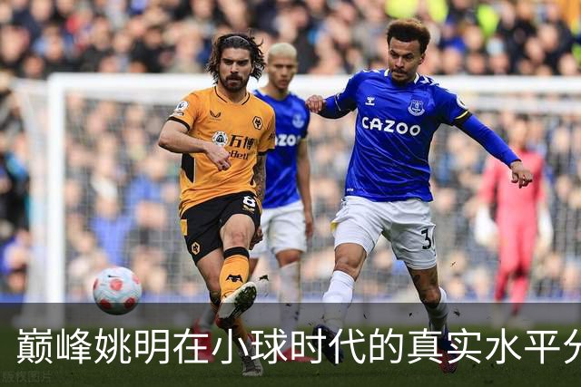 巅峰姚明在小球时代的真实水平分析