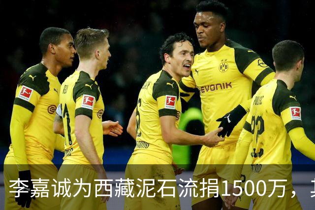 李嘉诚为西藏泥石流捐1500万，其他都是公司捐款，只有李嘉诚是个人