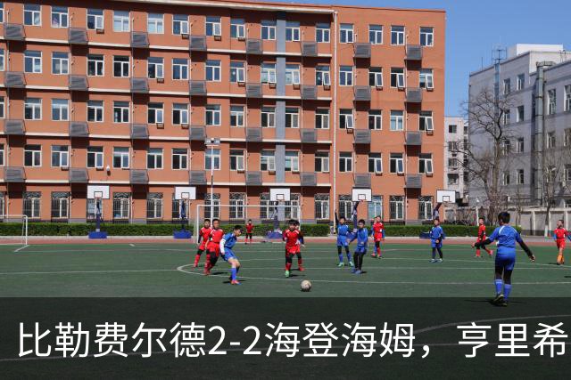 比勒费尔德2-2海登海姆，亨里希世界波，格罗多夫斯基破门