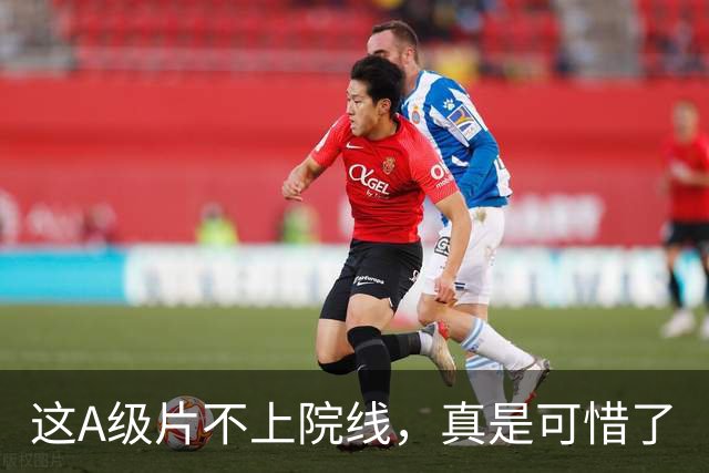 这A级片不上院线，真是可惜了