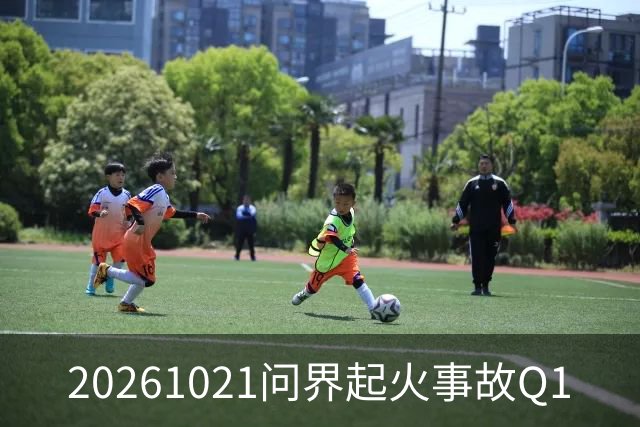 20261021问界起火事故Q1